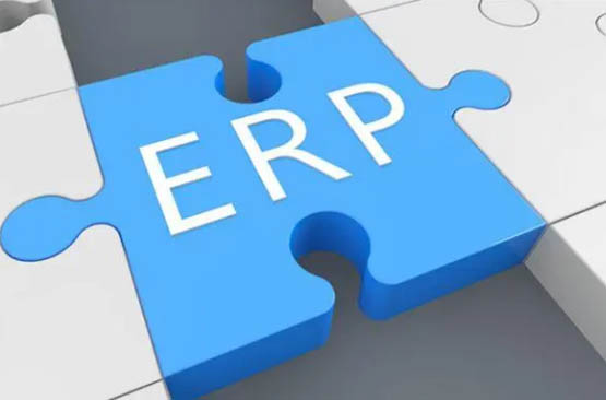 企业应如何进行ERP选型